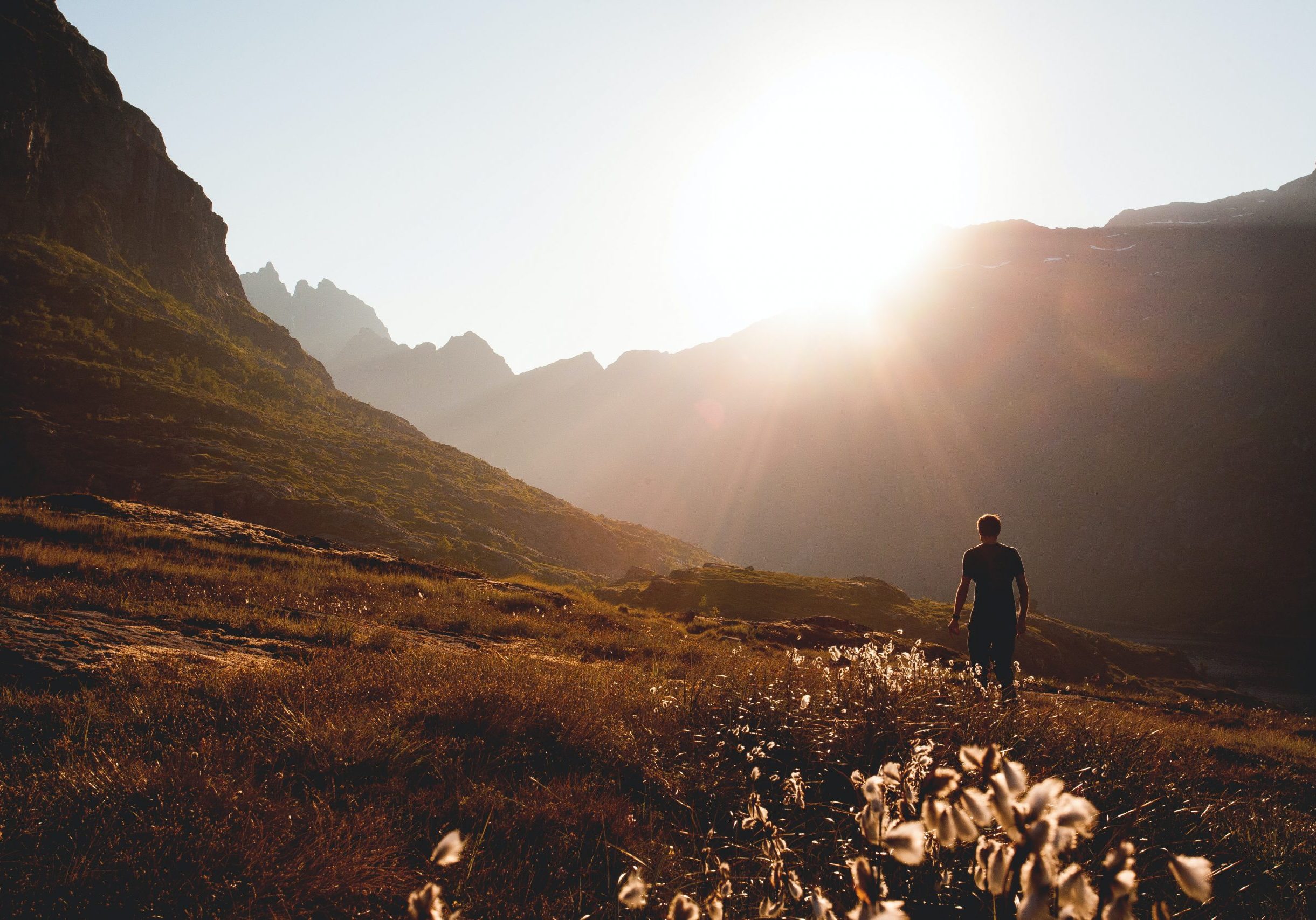 dennis-ottink-TsMXK2W9hV0-unsplash dennis-ottink-TsMXK2W9hV0-unsplash